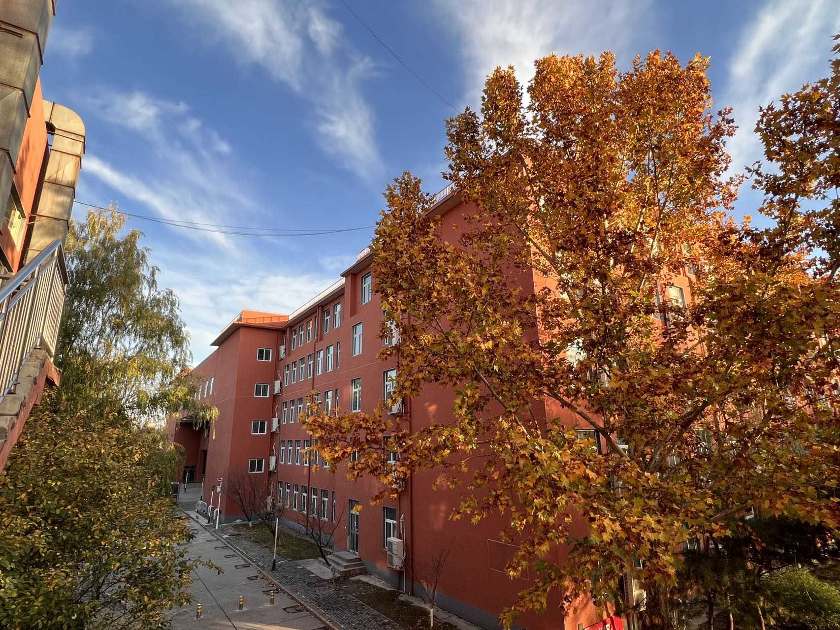 高档中餐 · 桃园小馆