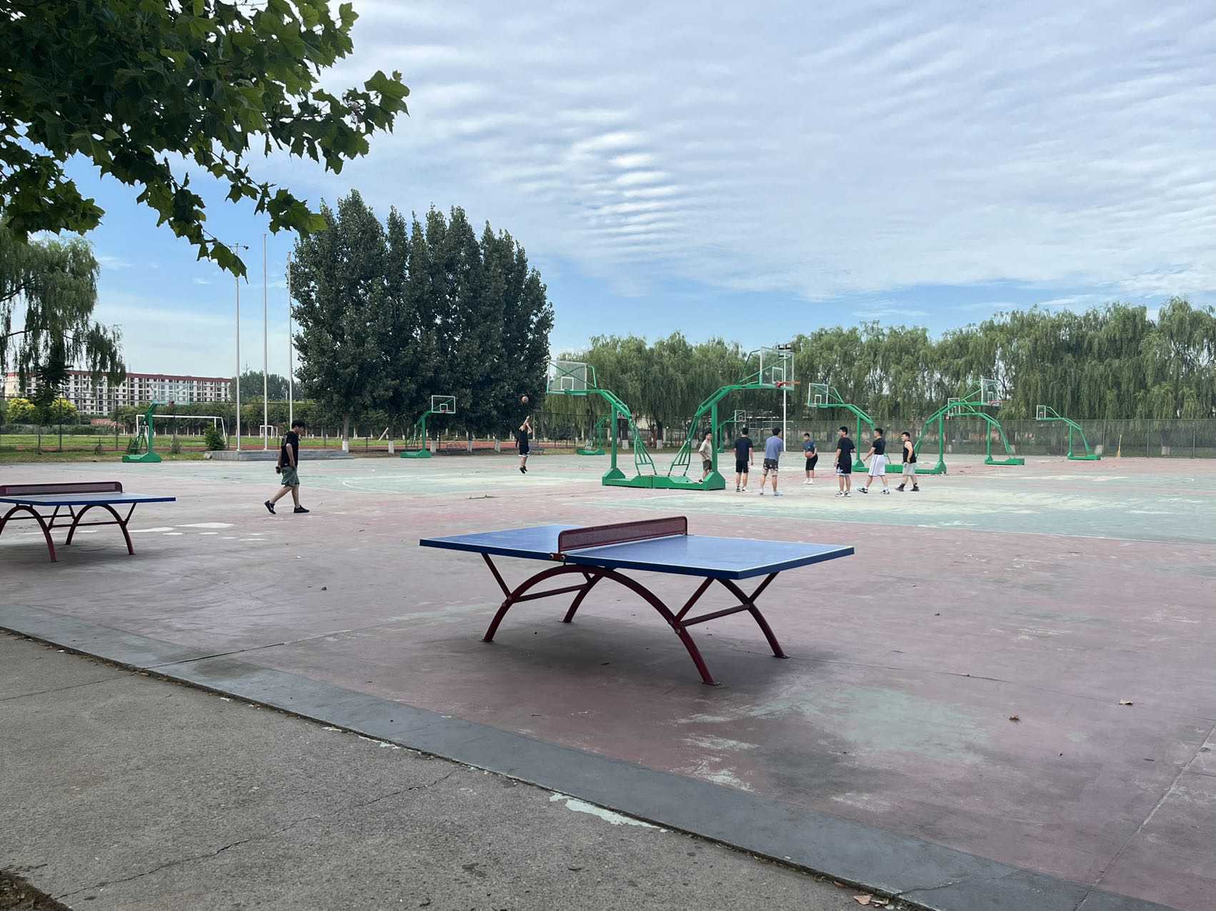 云天阁 · 全日餐厅